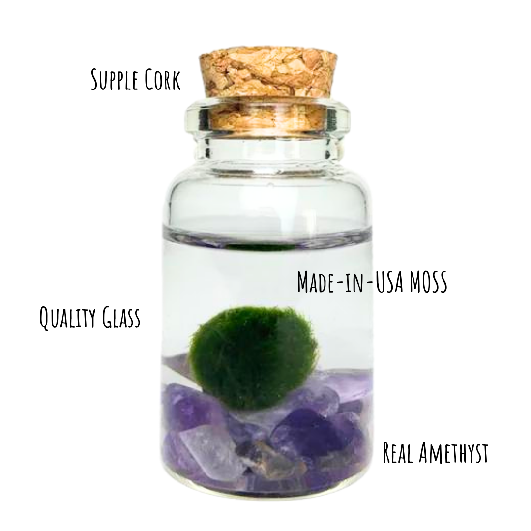 Moss Niño - Amethyst