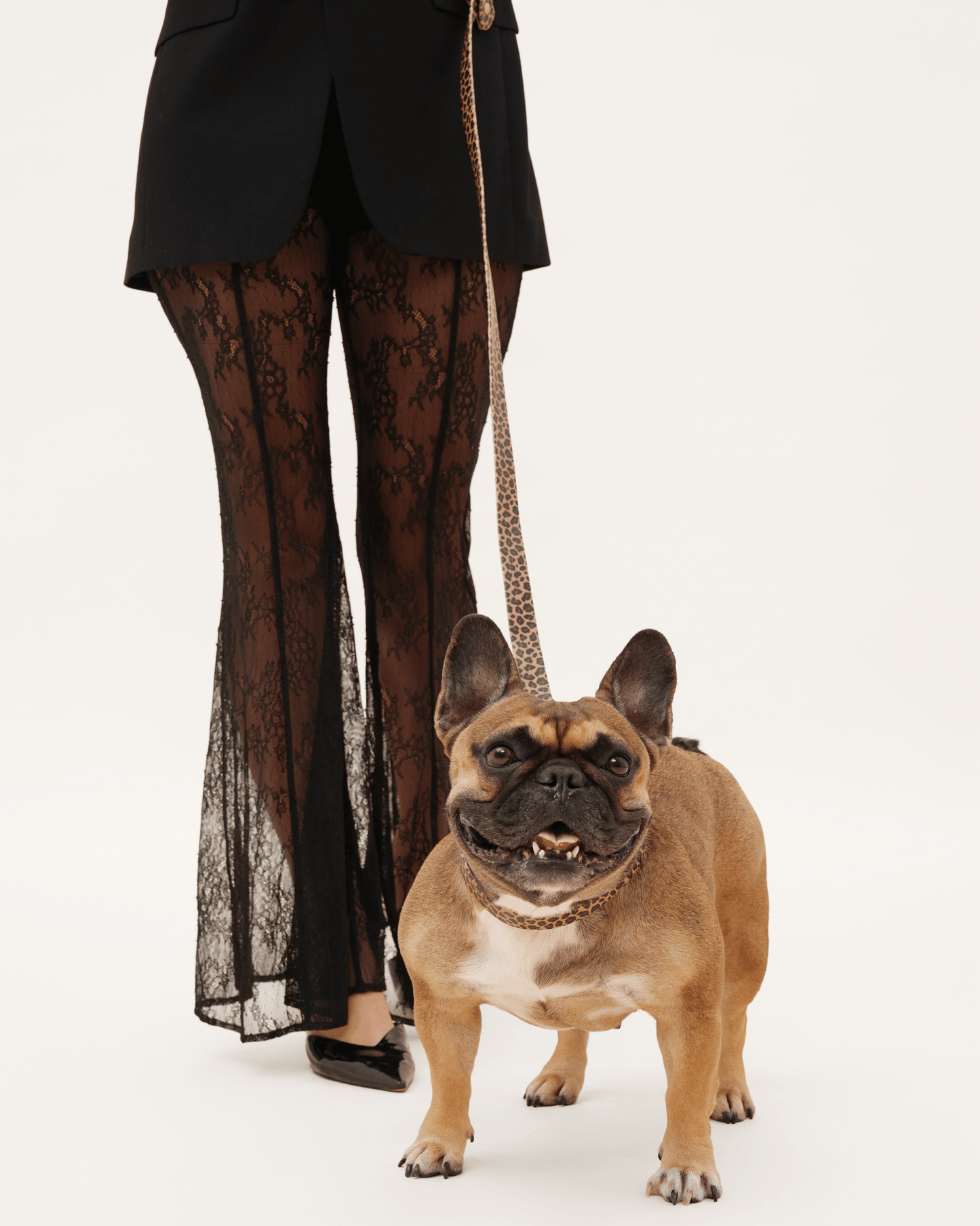 Waterproof Leopard Dog Collar