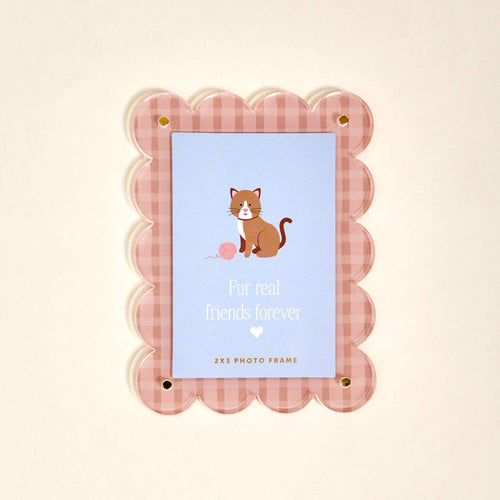 Mini Acrylic Picture Frame Magnet – Cool Cat