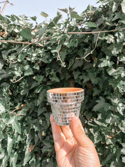 Mini 2.3 Inch Disco Planter Pot - Rose Gold