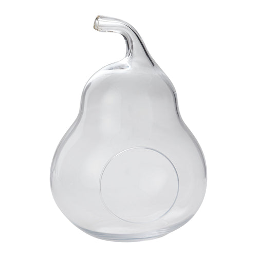 Large Pear Terrarium