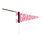 Pink Graduate Felt Pennant Banner