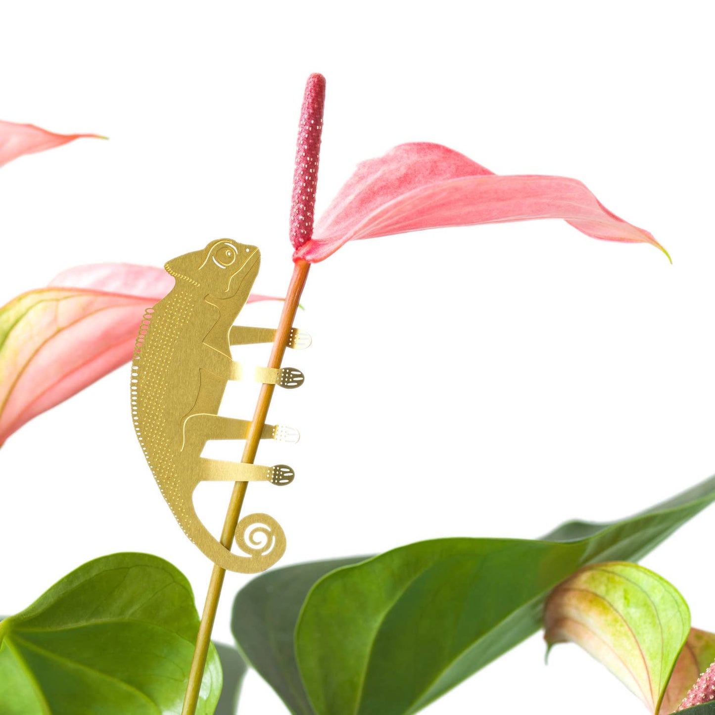 Brass Plant Decoration - Chameleon