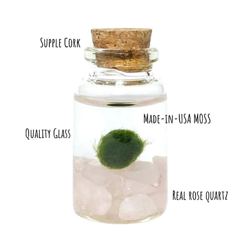 Moss Niño - Rose Quartz