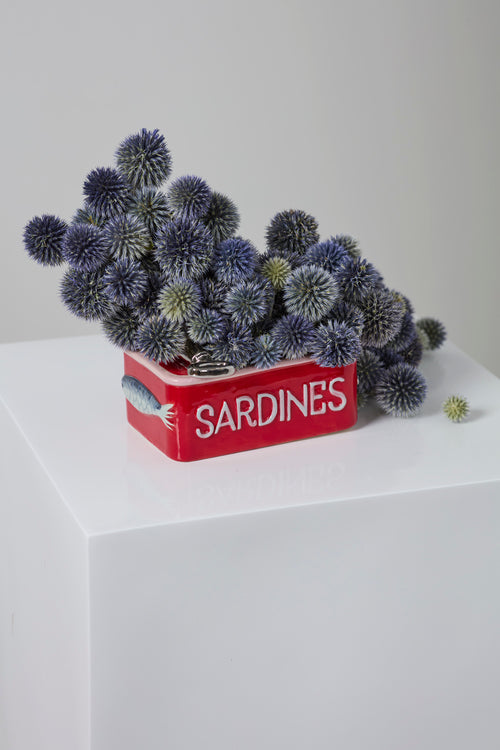 Sardine Tin Planter