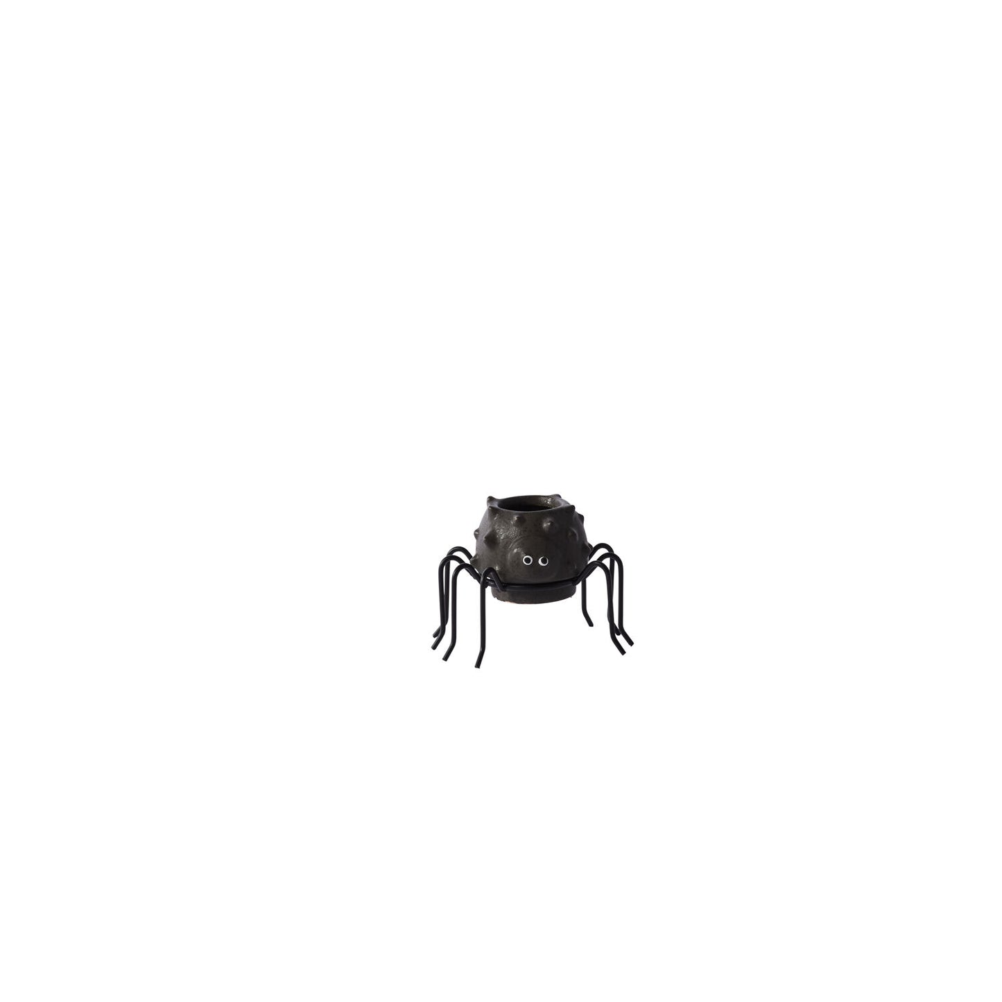 Spider Succulent Pot