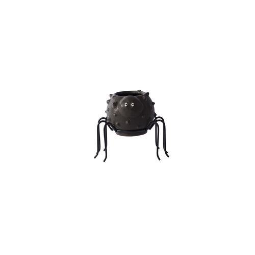 Spider Succulent Pot