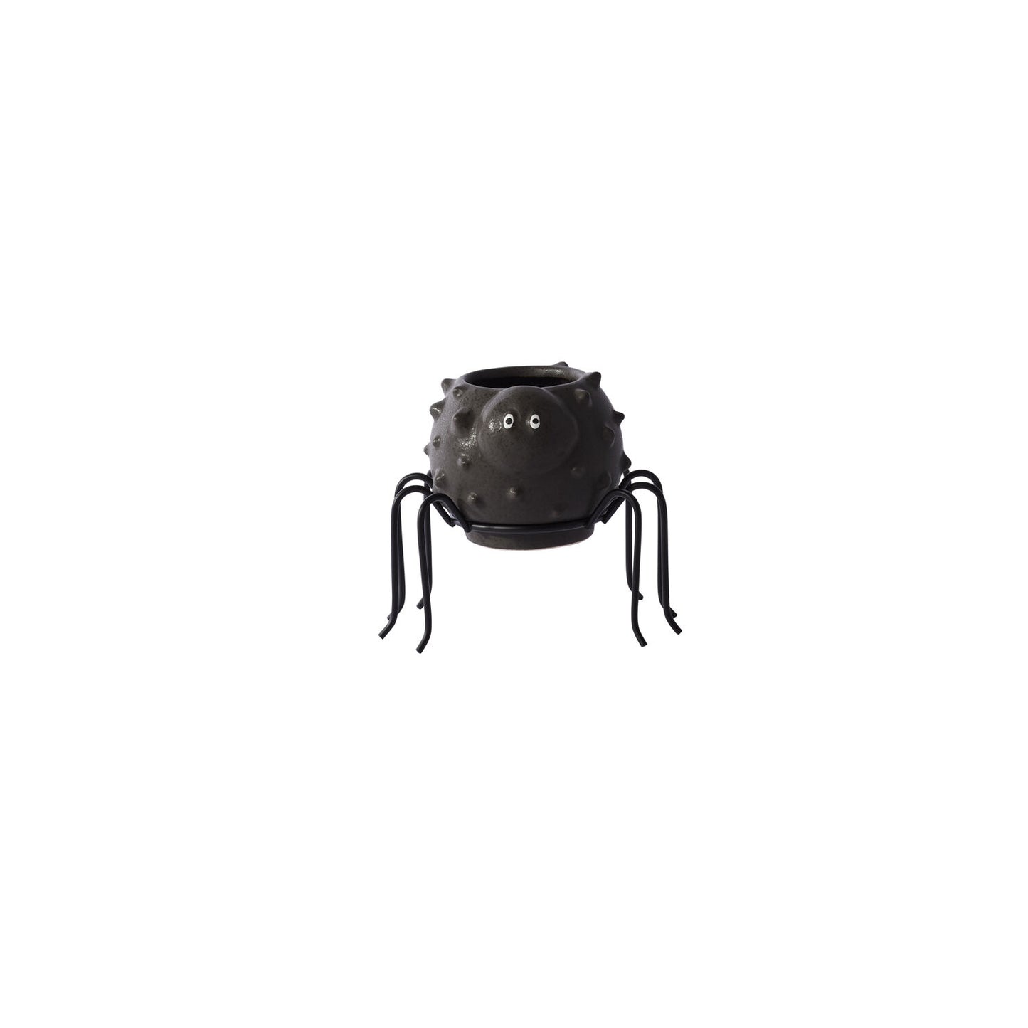 Spider Succulent Pot