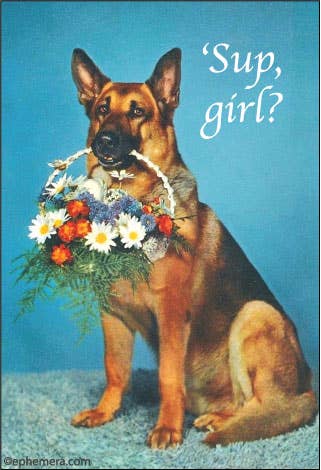 MAGNET: Sup, girl?