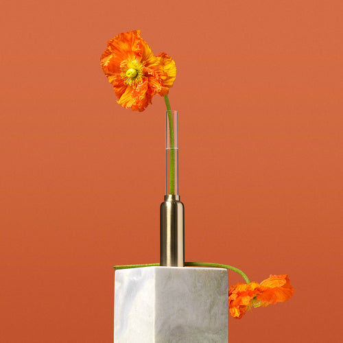 Clear Base Vase 1-Pack