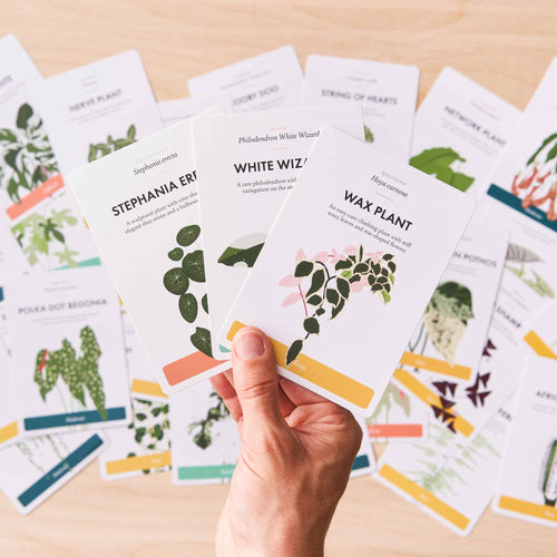 Houseplant Care Cards - Edition 2
