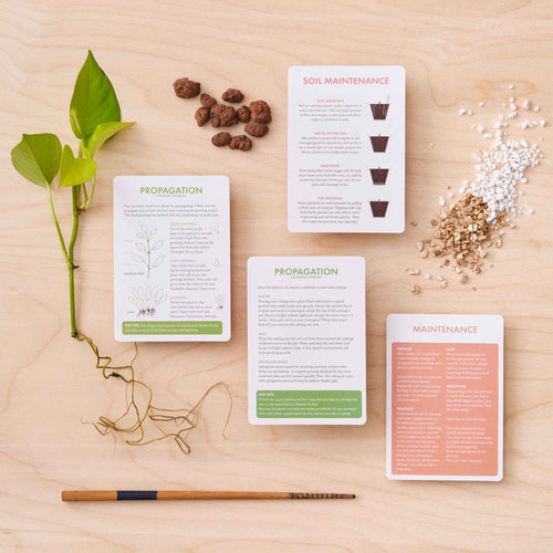 Houseplant Care Cards - Edition 2