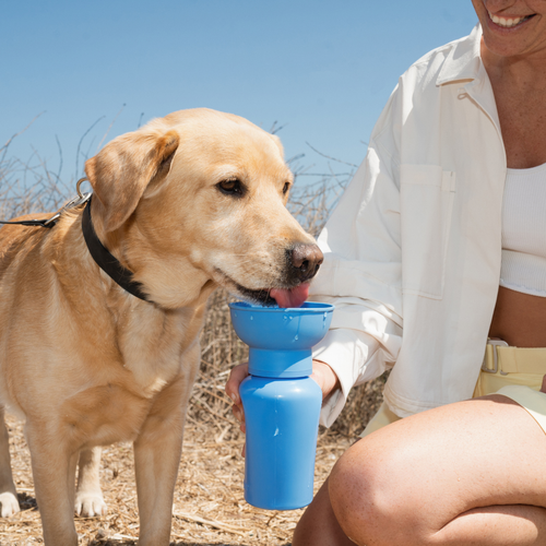 Dog Travel Water Bottle - 20oz Flip