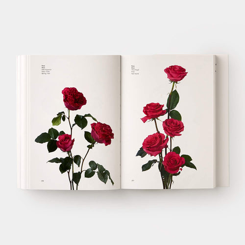 Flower Color Guide Book