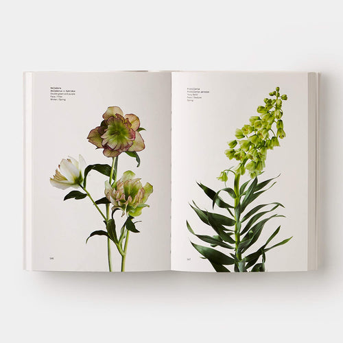 Flower Color Guide Book