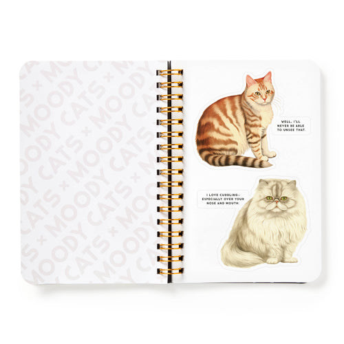Moody Cats Sticker Book