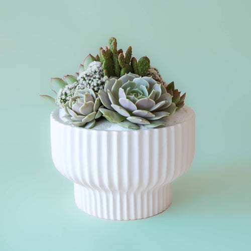 Presley Pedestal Pot - Small
