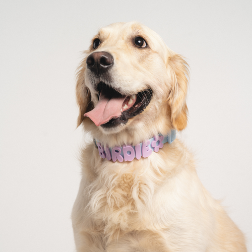 Silicone Dog Collar Charms