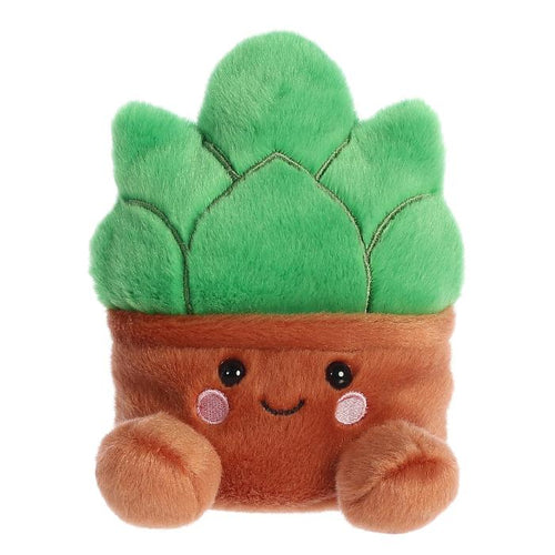 Palm Pals - Potted Succulent