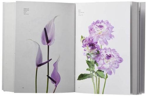 Flower Color Guide Book