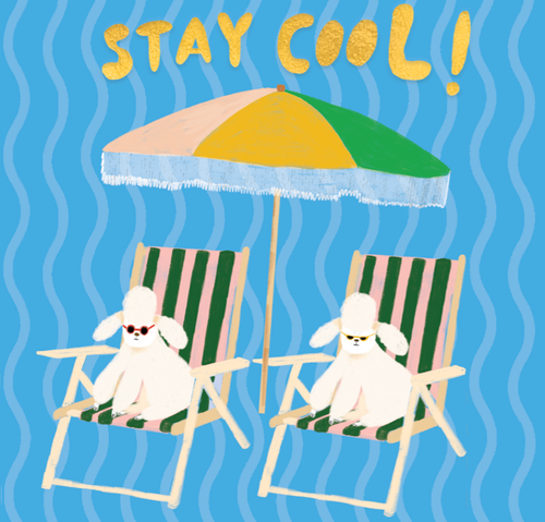 COOL POODLES Birthday Card
