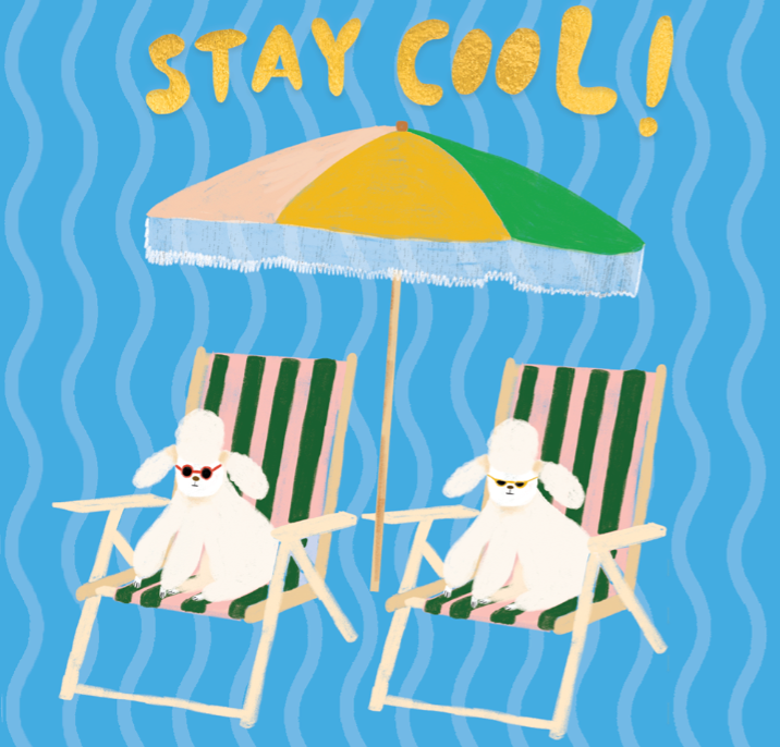 COOL POODLES Birthday Card