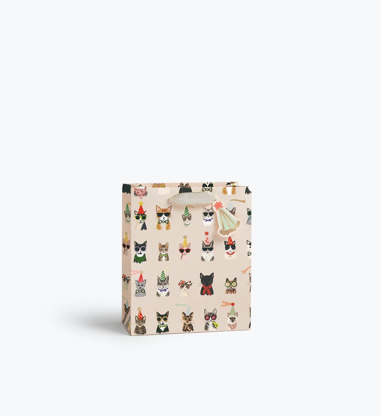 Party Cats Gift Bag