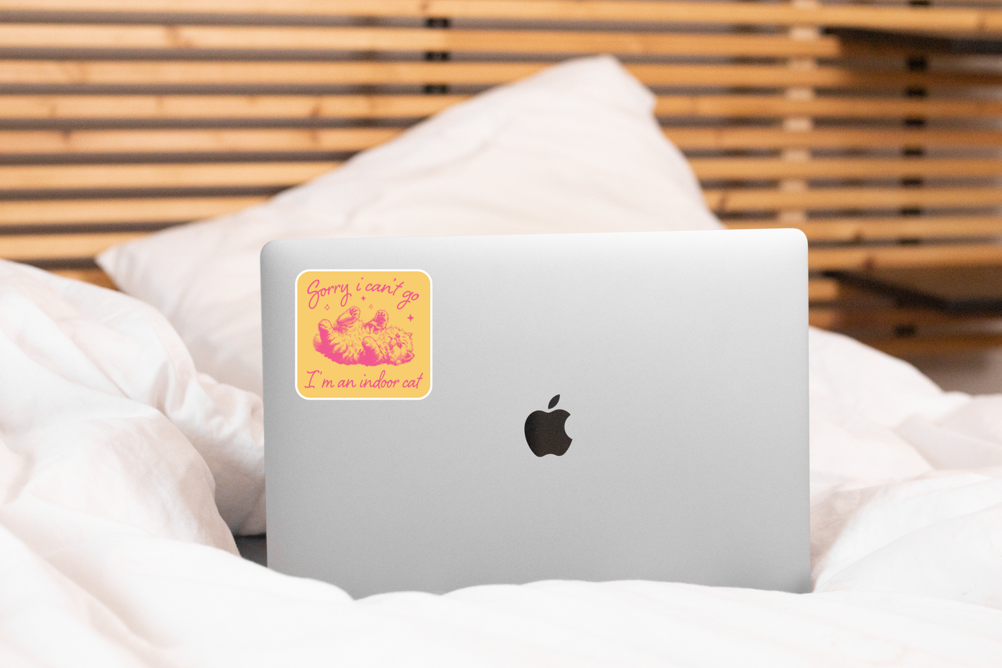 I'm an Indoor Cat Sticker