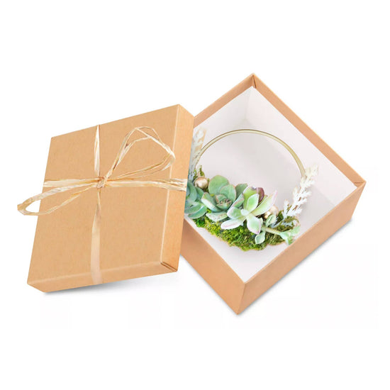 Live Succulent Ornament in Kraft Gift Box