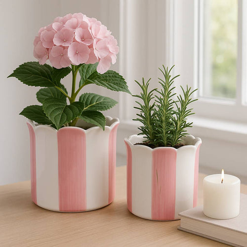Pink Striped Scallop Planter