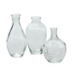 Marlena Budvase