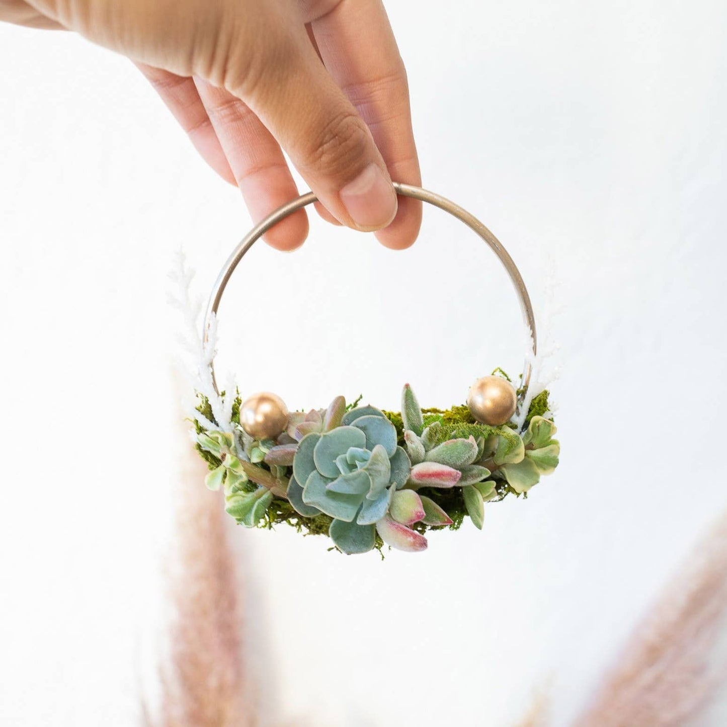 Live Succulent Ornament in Kraft Gift Box