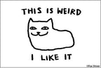 MAGNET: This is weird….I like it