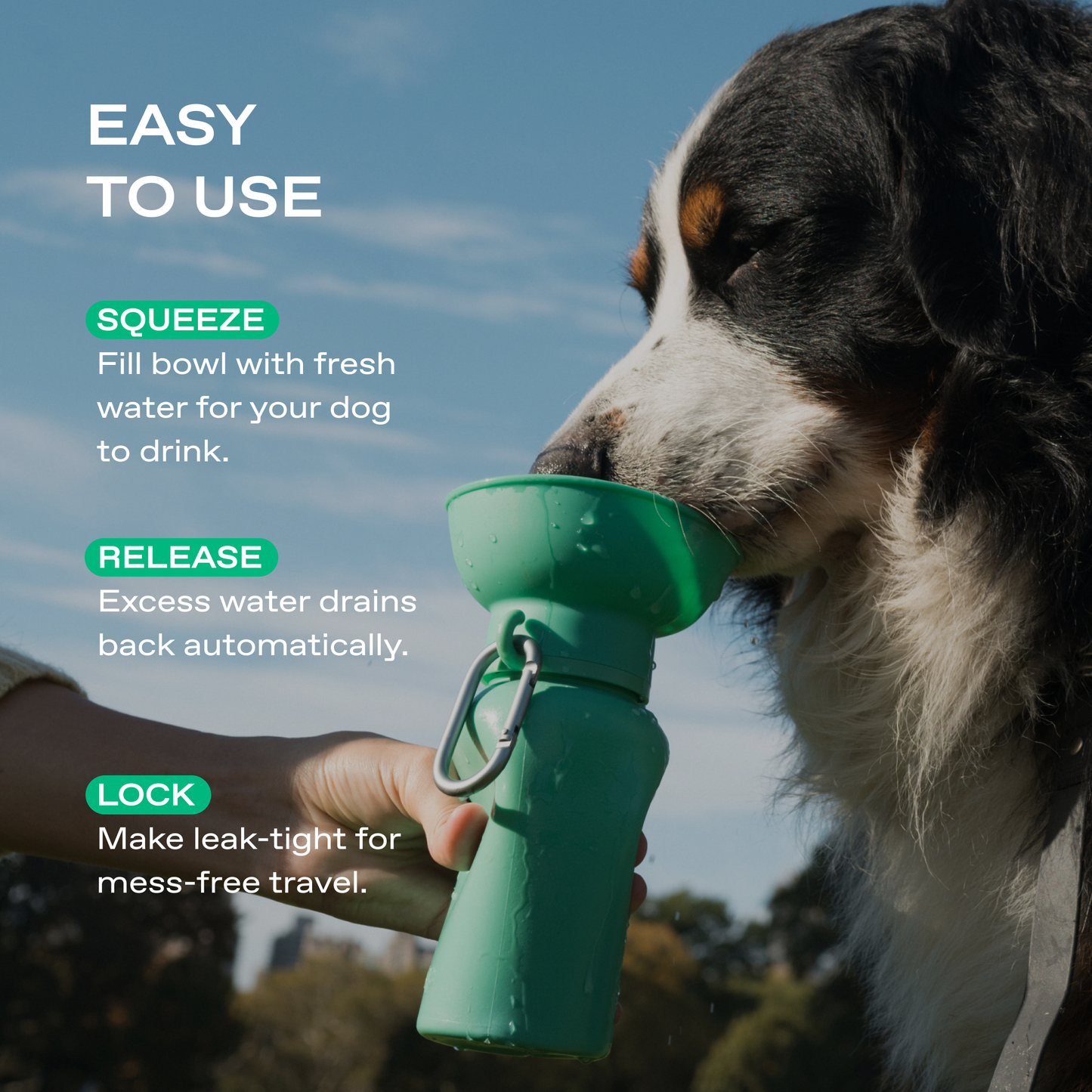 Dog Travel Water Bottle - 20oz Flip