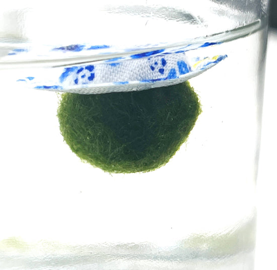 Moss Chico - Clear Quartz