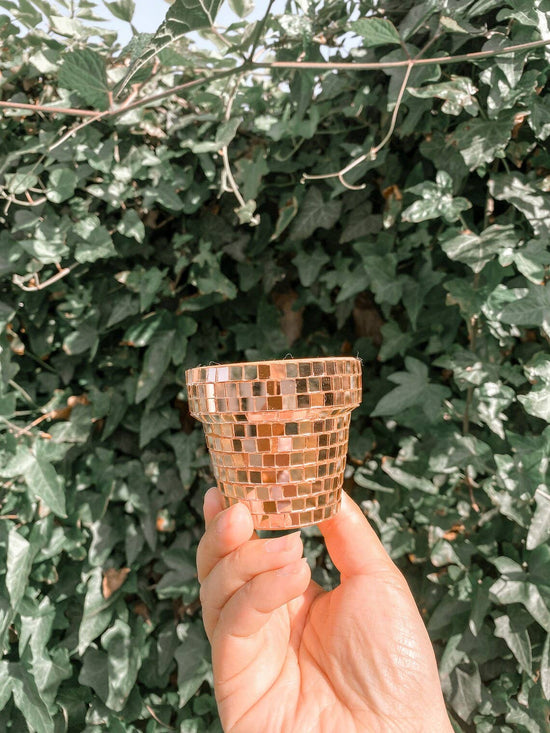 Mini 2.3 Inch Disco Planter Pot - Rose Gold