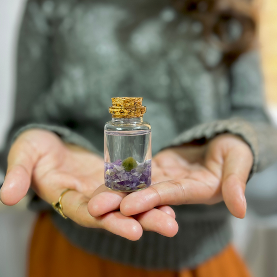 Moss Niño - Amethyst