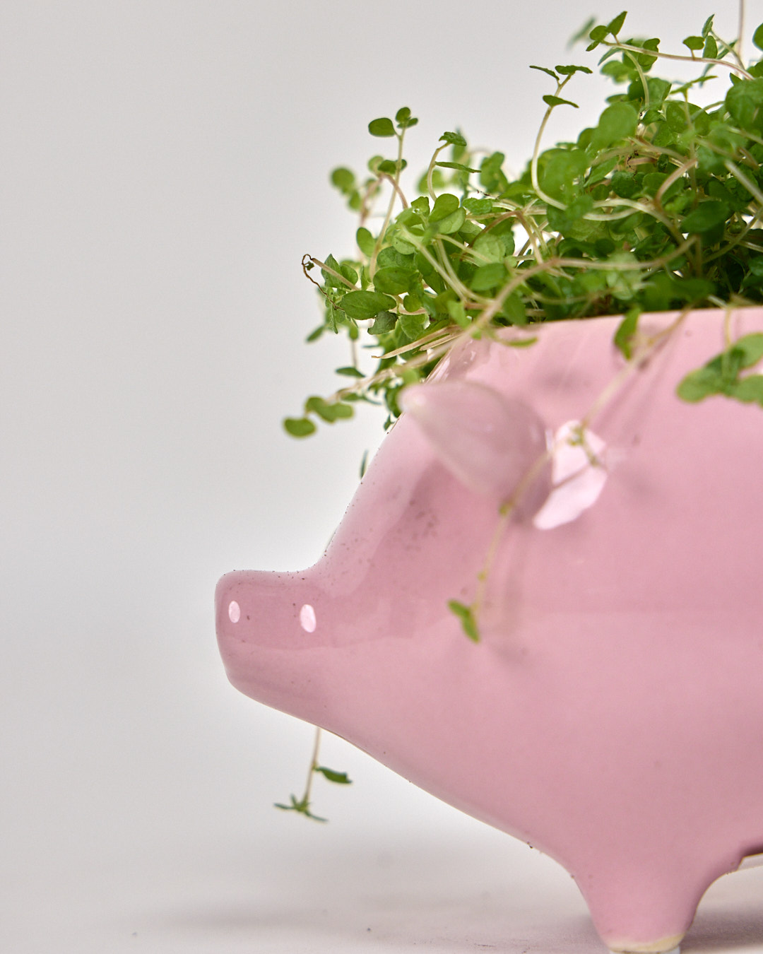 Pink Pig Ceramic Planter Pot