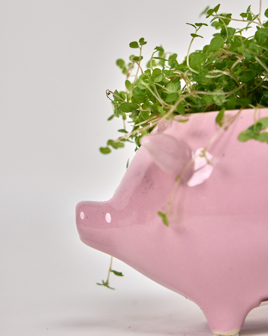 Pink Pig Ceramic Planter Pot
