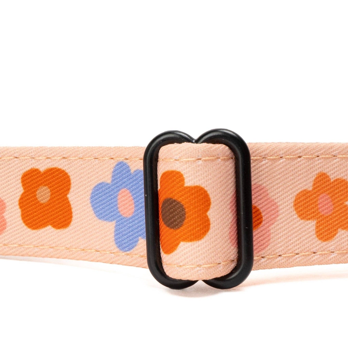 The Let's Groove Dog Collar