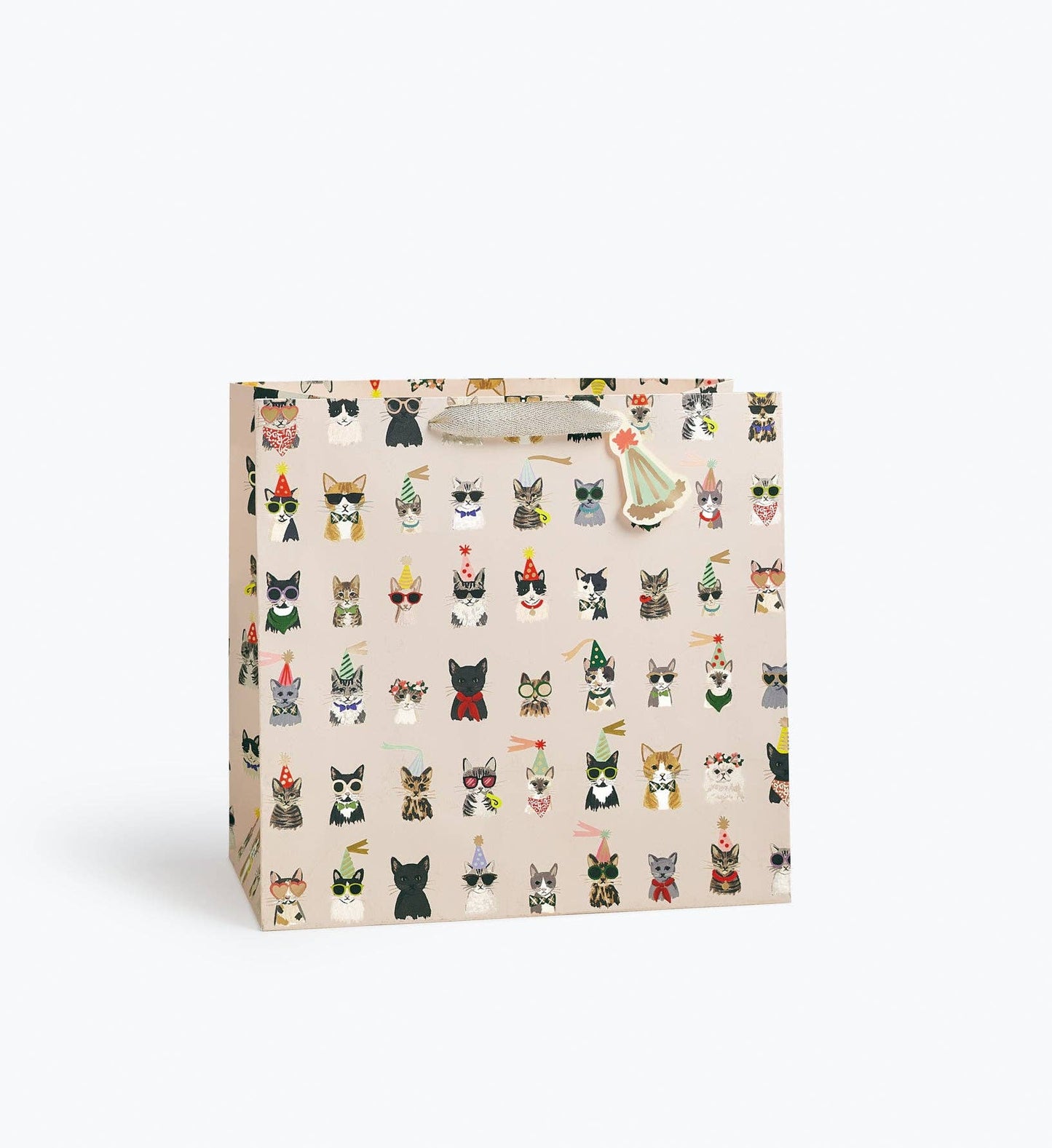 Party Cats Gift Bag