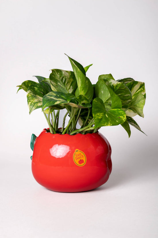 Apple Ceramic Vessel