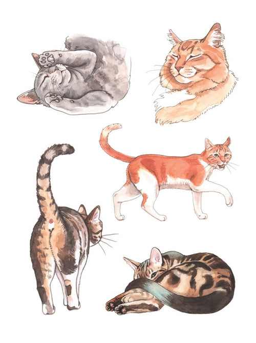 The Cat's Meow Sticker Book
