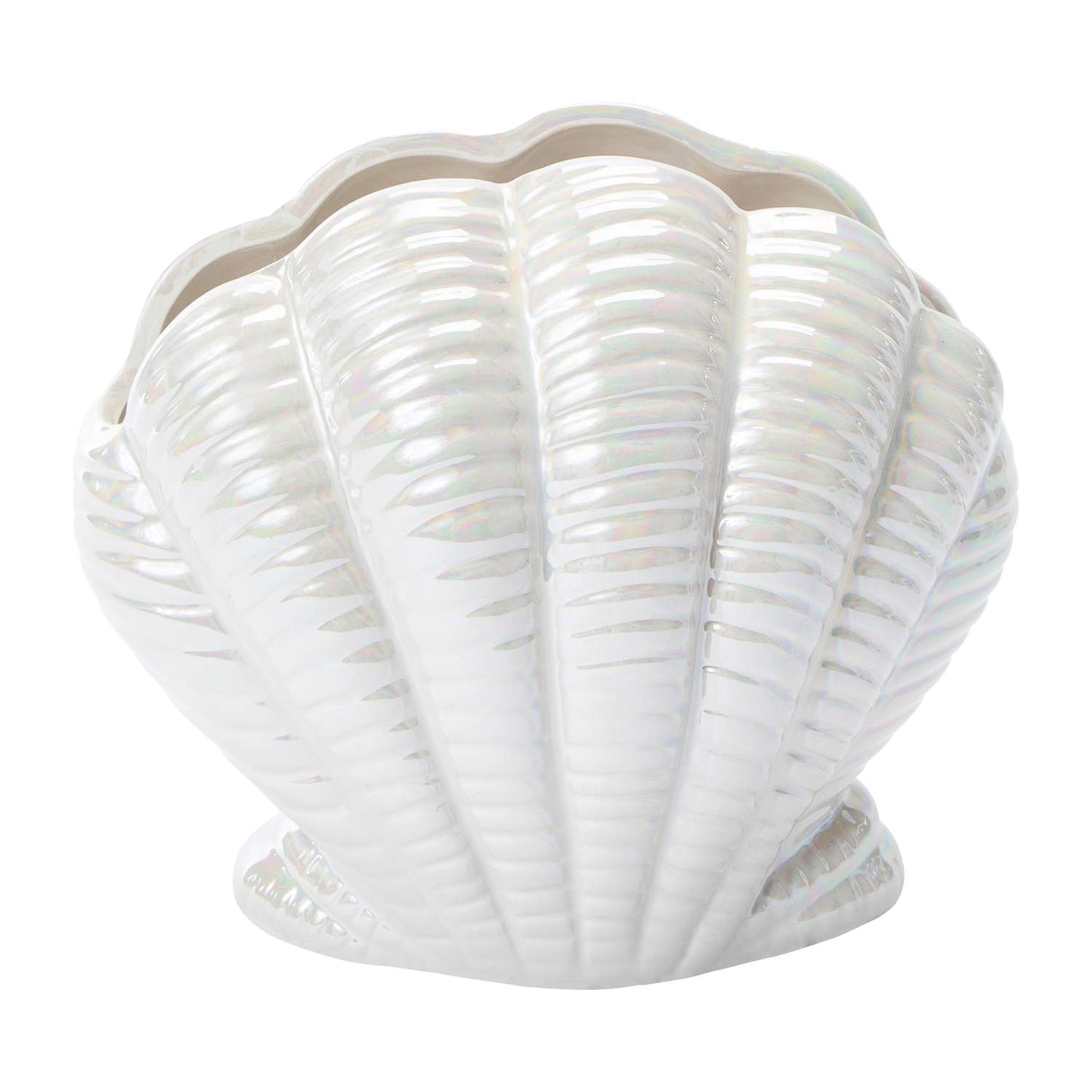 Iridescent Seashell Vase