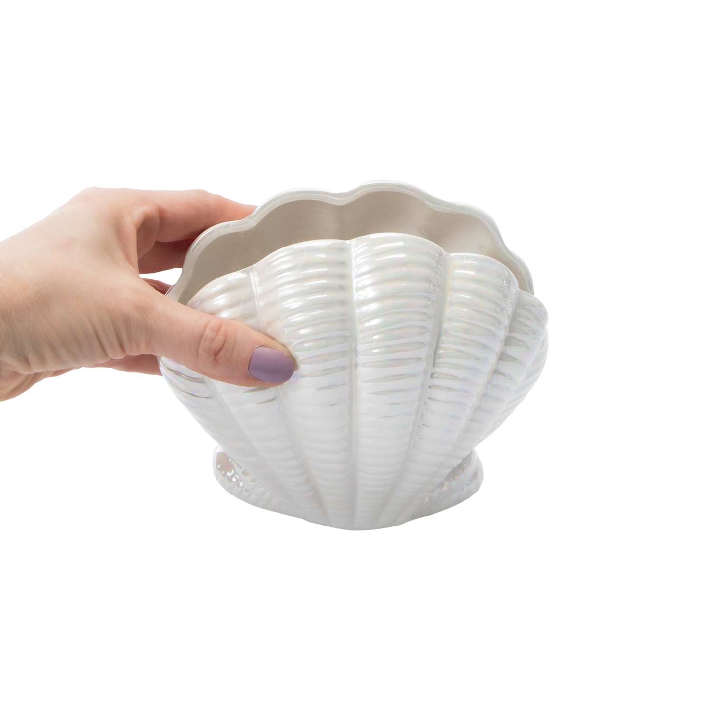 Iridescent Seashell Vase