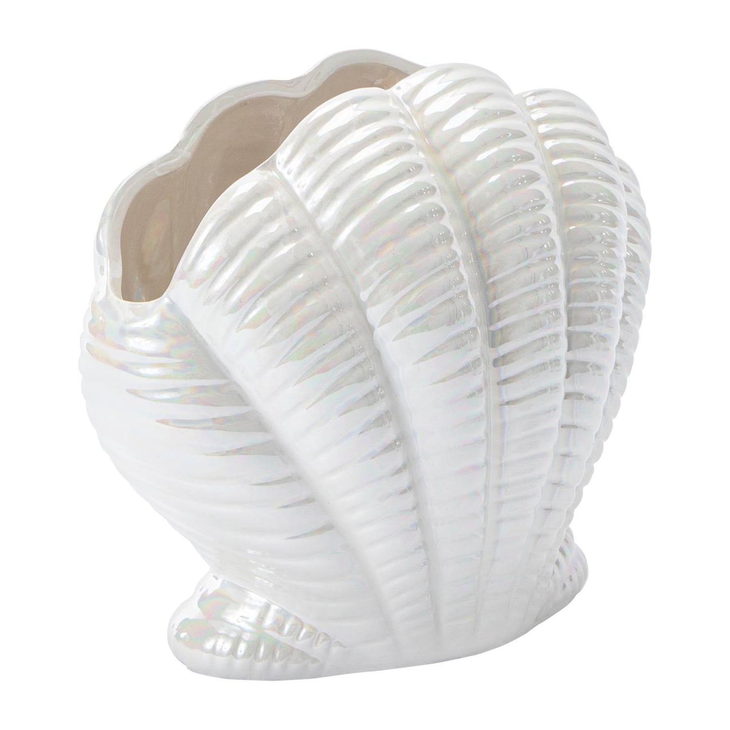 Iridescent Seashell Vase