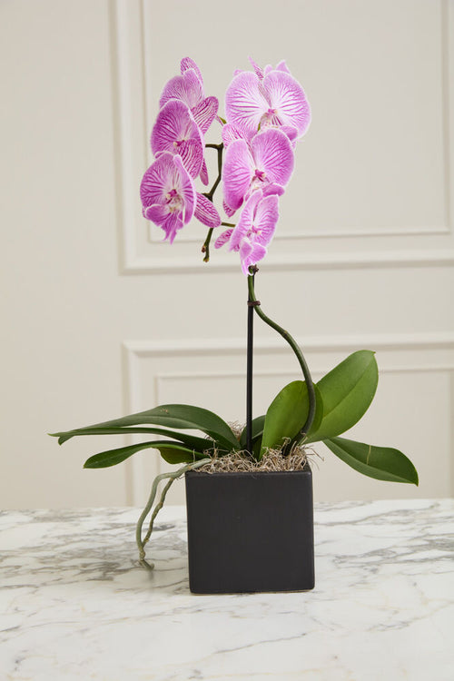 Urban Square Planter Vase - Small Black