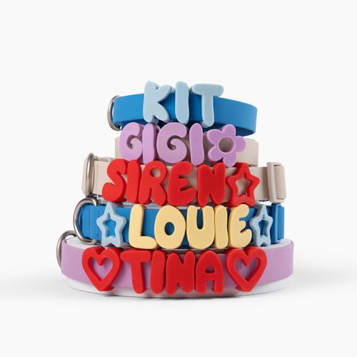 Silicone Dog Collar Charms