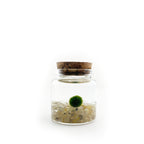 Moss Rico - Golden Quartz