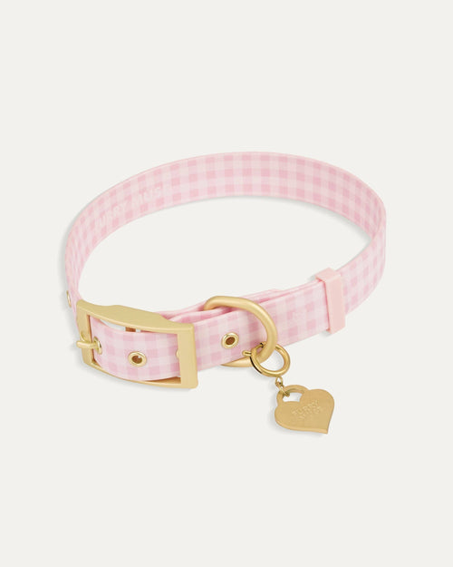 Wander! Collar 2.0 - Blossom Gingham